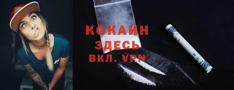 купить  сайты  Кашира  Cocaine Fish Scale 